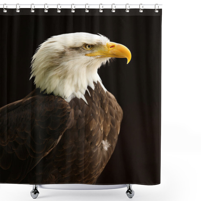 Personality  Bald Eagle Shower Curtains