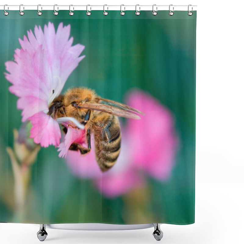 Personality  Bee On Flower Shower Curtains