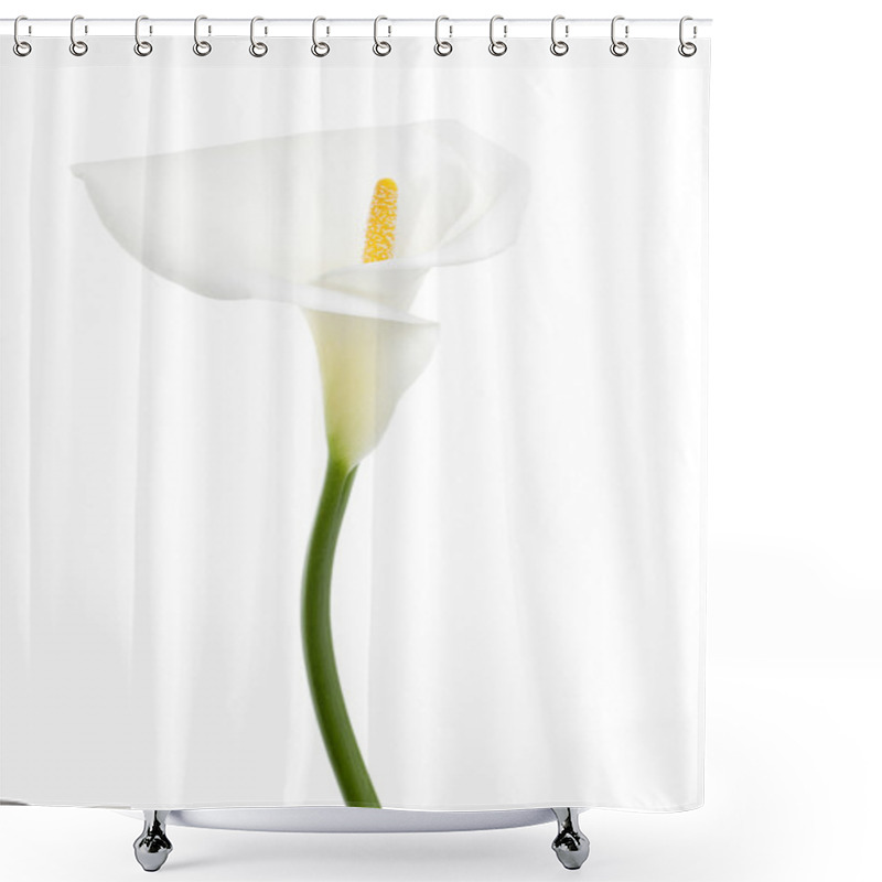 Personality  526 White Calla Lily Shower Curtains