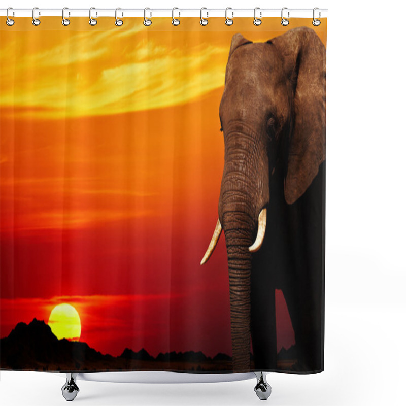 Personality  African Elephant In Savanna At Sunset Shower Curtains