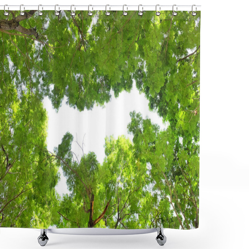 Personality  Tree Leaf And Branches In The Garden Shower Curtains