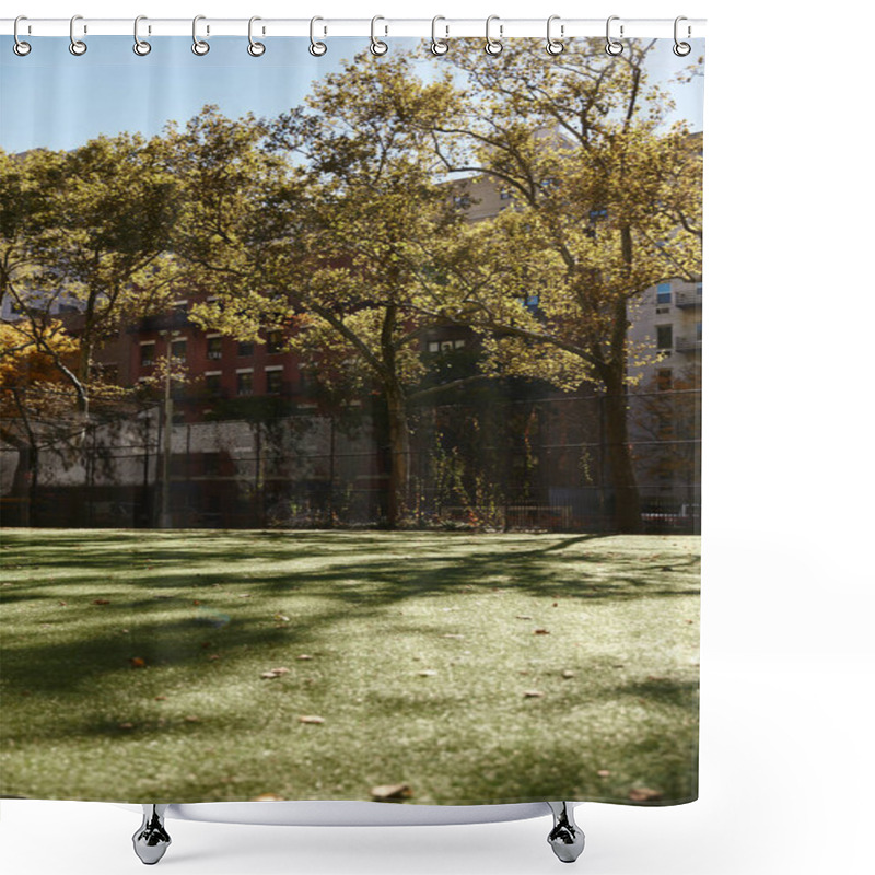 Personality  A View Of A Grassy Field In New York City, With Trees Casting Long Shadows On The Ground. Shower Curtains