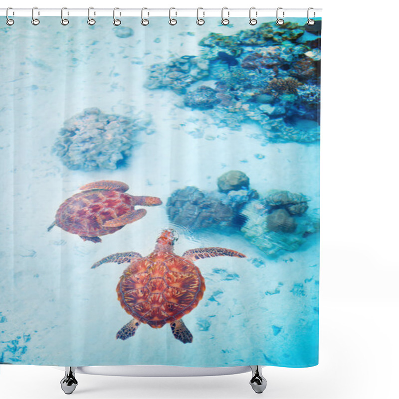 Personality  Sea Turtles Shower Curtains