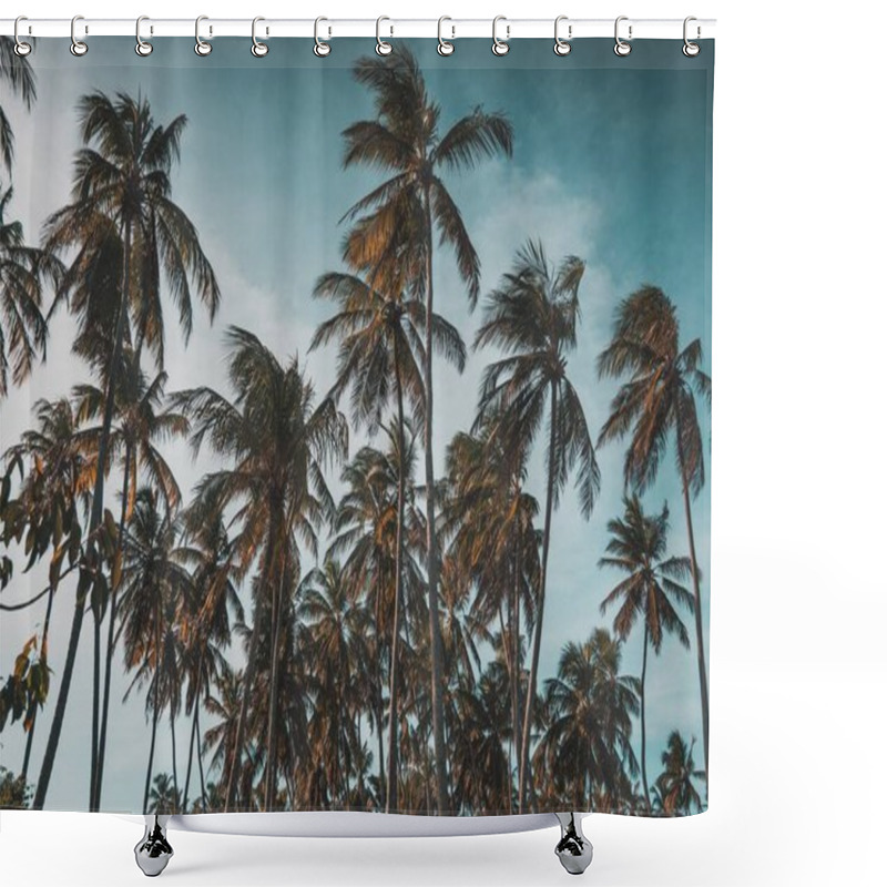 Personality  A Low Angle Shot Of A Lot Of Palm Trees On The Beach In Arvores Shower Curtains