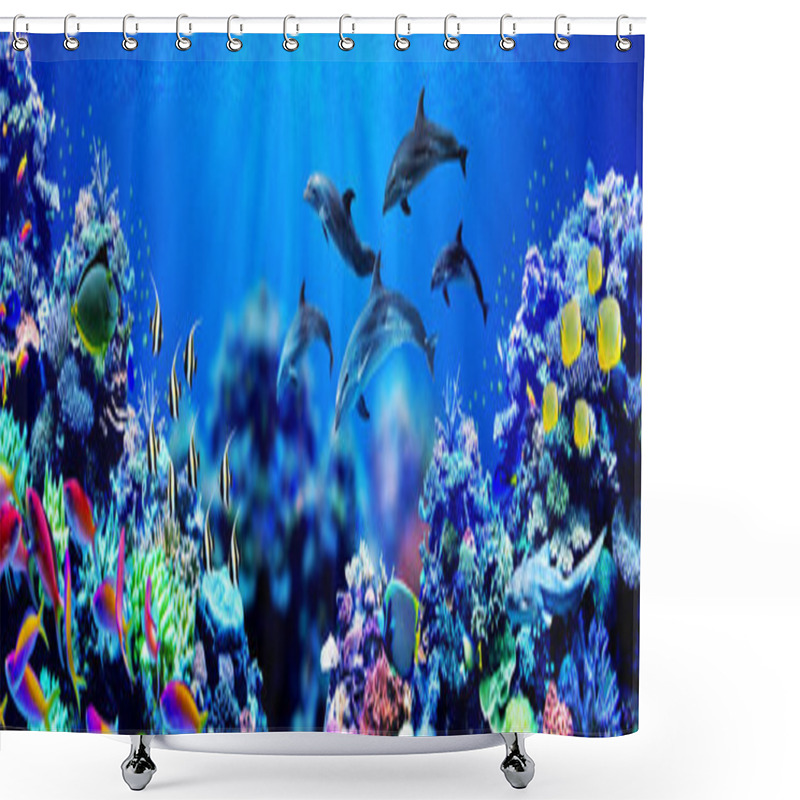 Personality  Panorama Background Of Dolphins Swimming In Beautiful Coral Reef With Marine Tropical Fish Shower Curtains