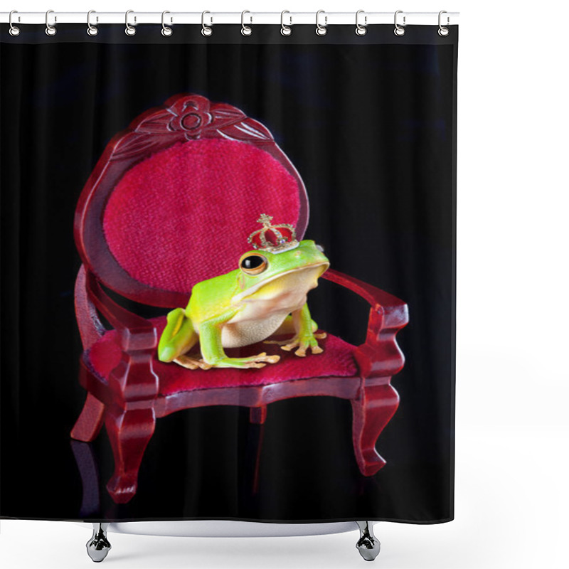 Personality  Frog Prince On Throne Shower Curtains