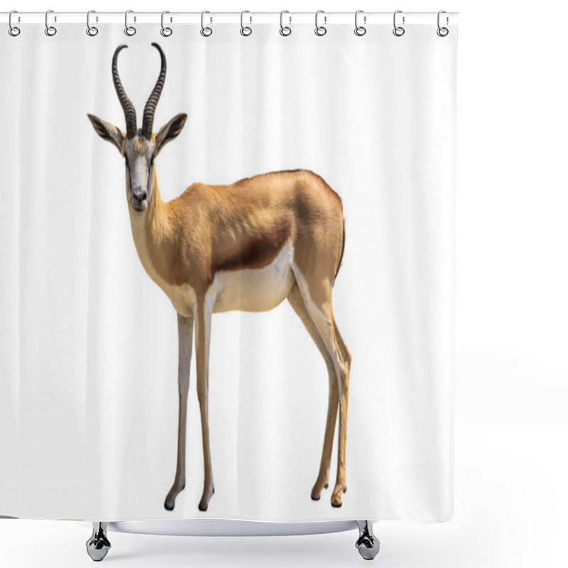 Personality  Springbok Shower Curtains