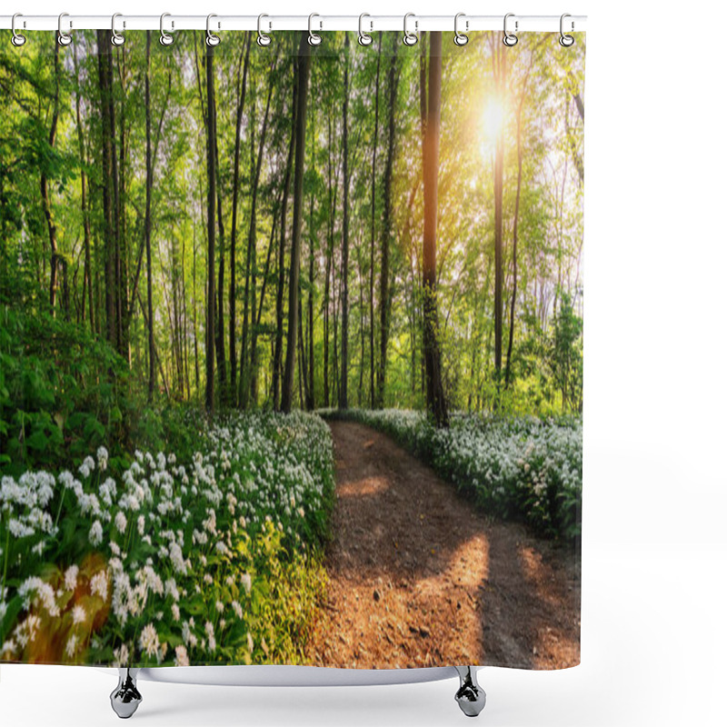 Personality  Woodland Path With Wild Garlic In Full Bloom In A Forest Shower Curtains