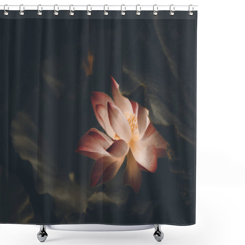 Personality  Beautiful Soft Pink Lotus Flower Shower Curtains