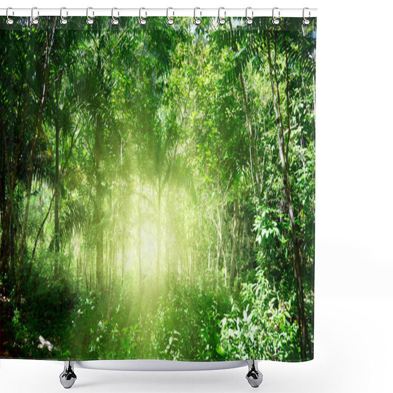 Personality  Sunlight In Jungle Of Dominican Shower Curtains