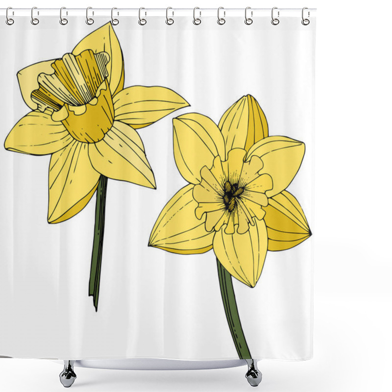 Personality  Vector Narcissus Flowers. Yellow Engraved Ink Art. Isolated Daffodils Illustration Element On White Background. Shower Curtains