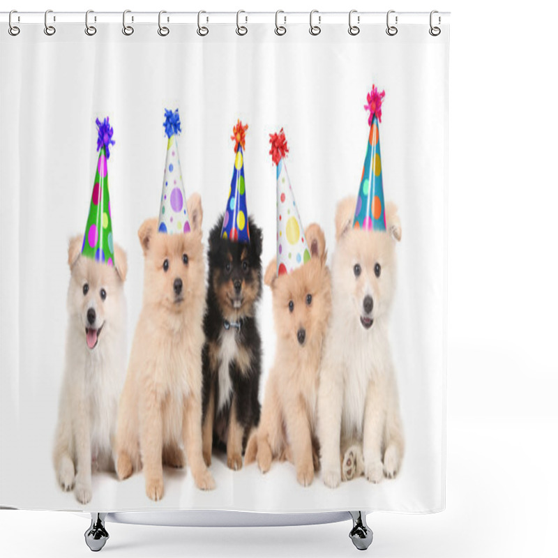 Personality  Five Pomeranian Puppies Celebrating A Bi Shower Curtains