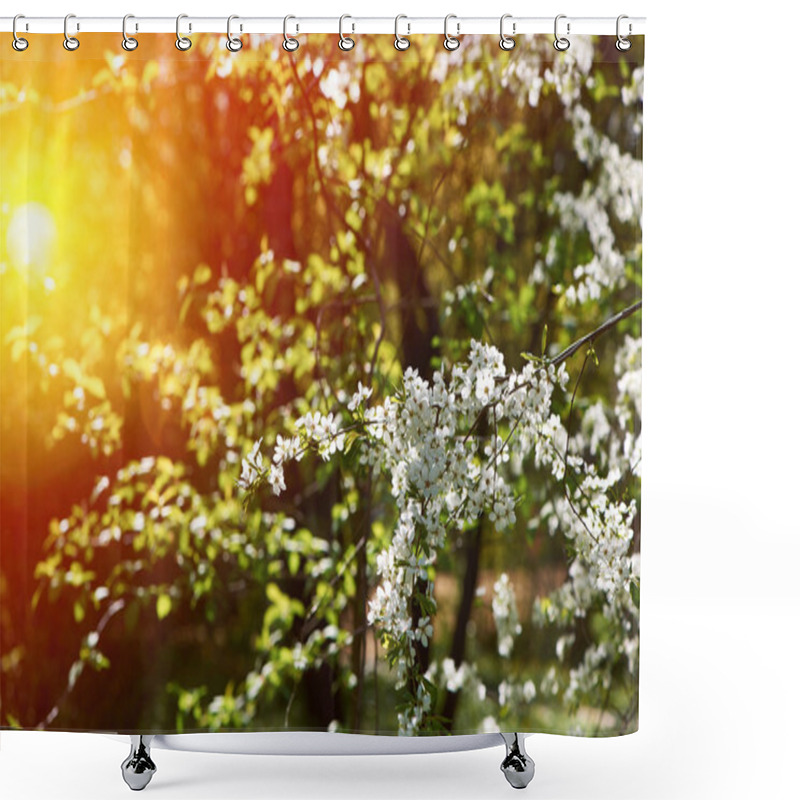 Personality  Cherry Blooming Trees Shower Curtains