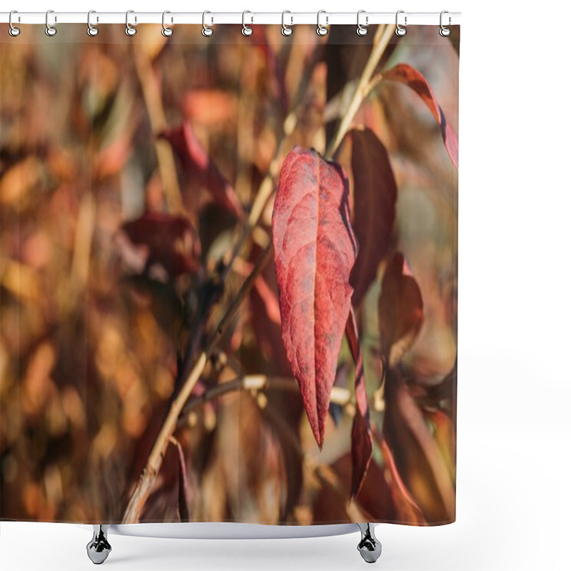 Personality  Beautiful Autumn Leaves Shower Curtains