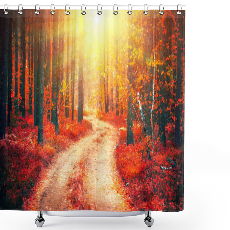 Personality  Autumn Nature Scene. Fantasy Fall Landscape. Beautiful Autumnal  Shower Curtains