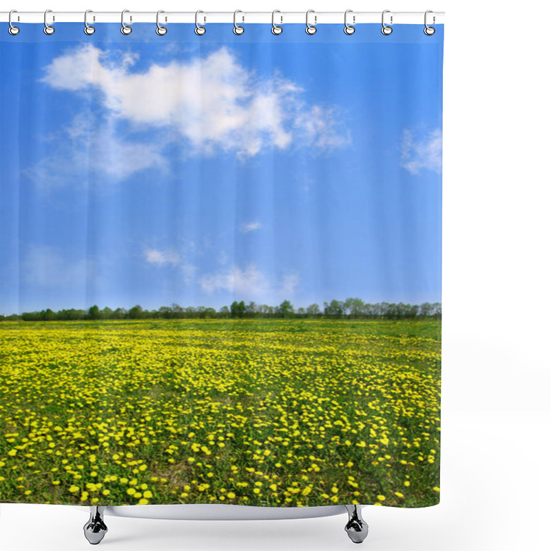 Personality  Dandelion Field Shower Curtains