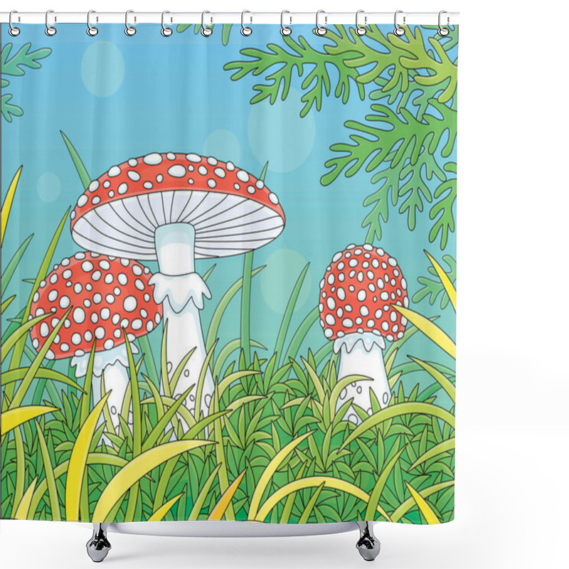 Personality  Three Poisonous Fly Agarics With Bright Red Caps And White Spots Hiding Among Thick Grass On A Pretty Glade In A Wild Forest, Vector Cartoon Illustration Shower Curtains