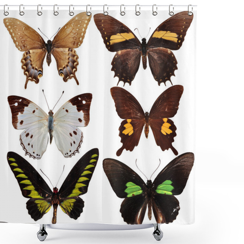 Personality  Butterfly Collection Shower Curtains