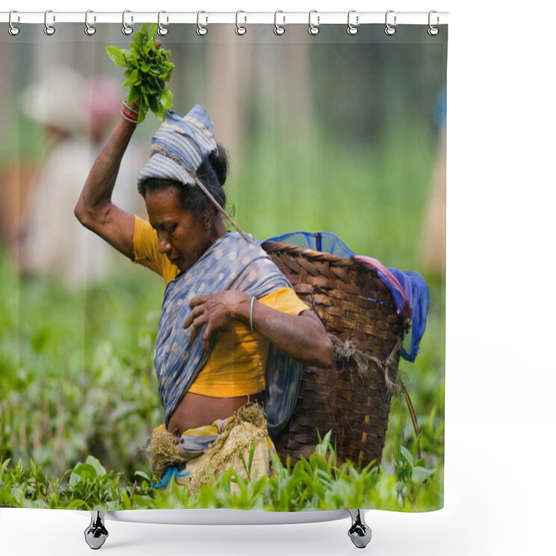 Personality  Woman On Tea Plantation Shower Curtains