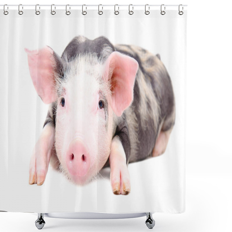 Personality  Portrait Of The Little Pig Shower Curtains