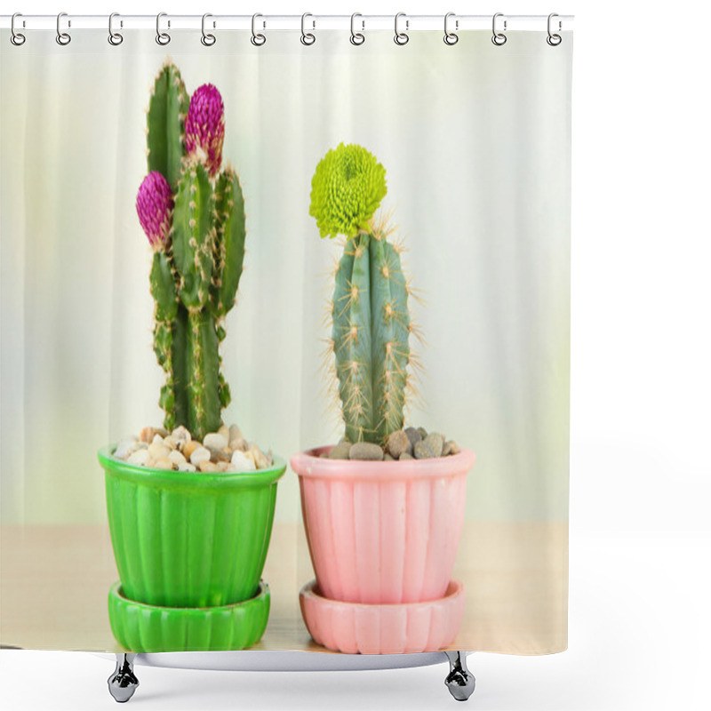 Personality  Cactuses In Flowerpots With Flowers, On Wooden Table Shower Curtains