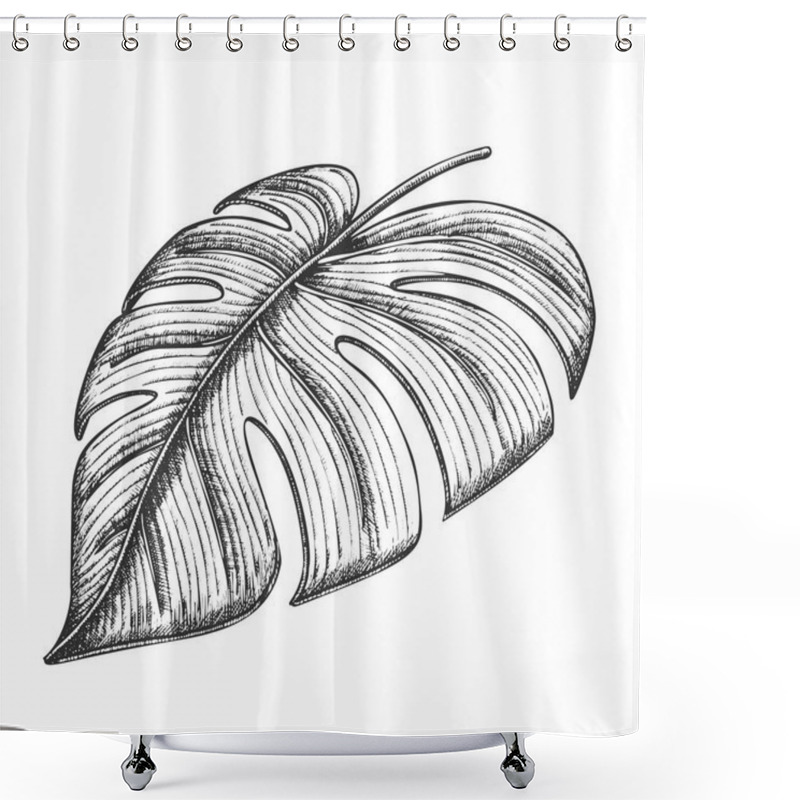 Personality  Monstera Tropical Exotic Leaf Hand Drawn Vector Shower Curtains