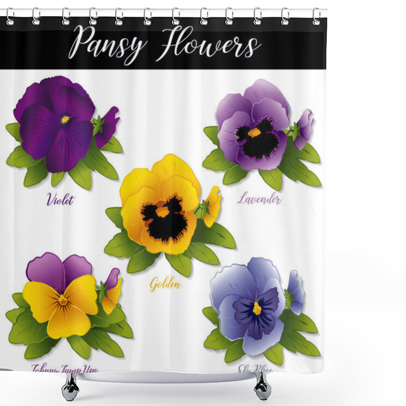 Personality  Pansies And Johnny Jump Ups (Violas). Spring Flowers In Purple, Violet, Lavender, Golden And Sky Blue Isolated On White Background.  Shower Curtains