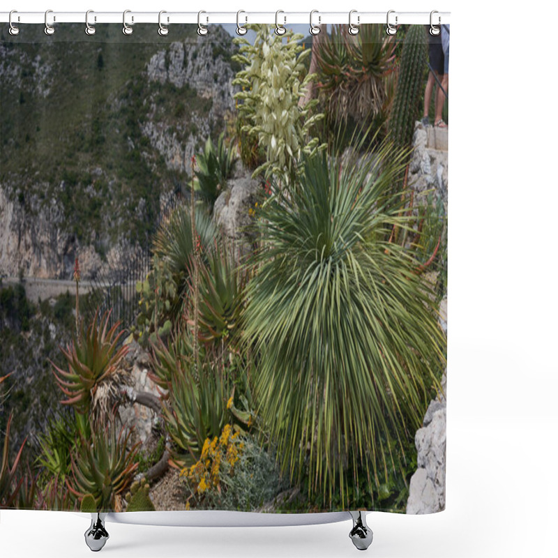 Personality   Eze, France - June 17, 2021 - The Exotic, Subtropical And Mediterranean Garden In The Sunny Spring Afternoon                                Shower Curtains