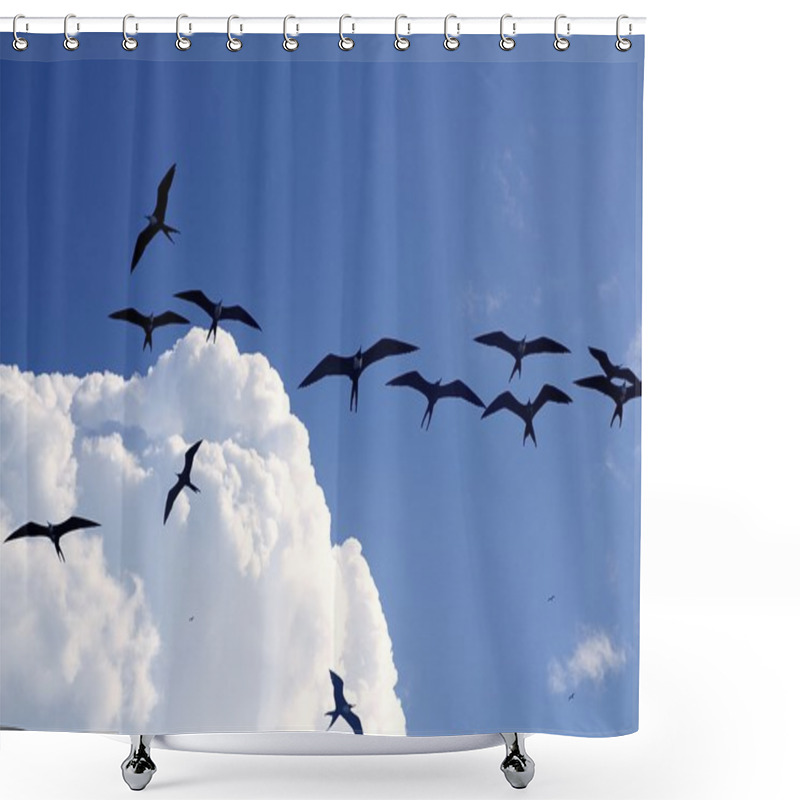 Personality  Frigate Bird Silhouette Backlight Breeding Season Shower Curtains