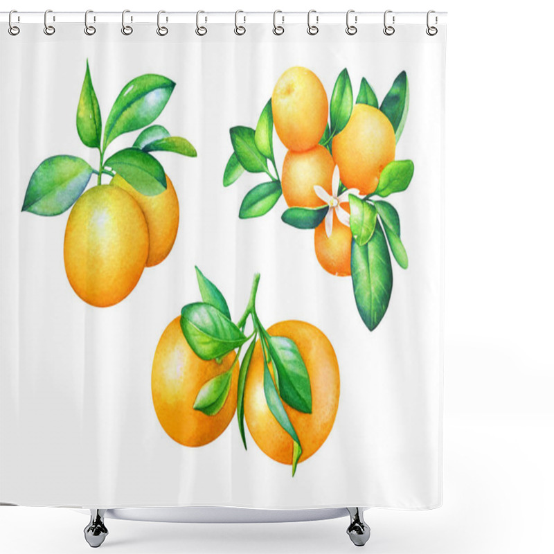 Personality  Watercolor Collection Of Hand Drawn Orange Fruits With Green Leaves On White Background. Shower Curtains