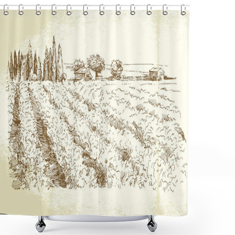 Personality  Hand Drawn Vineyard Shower Curtains