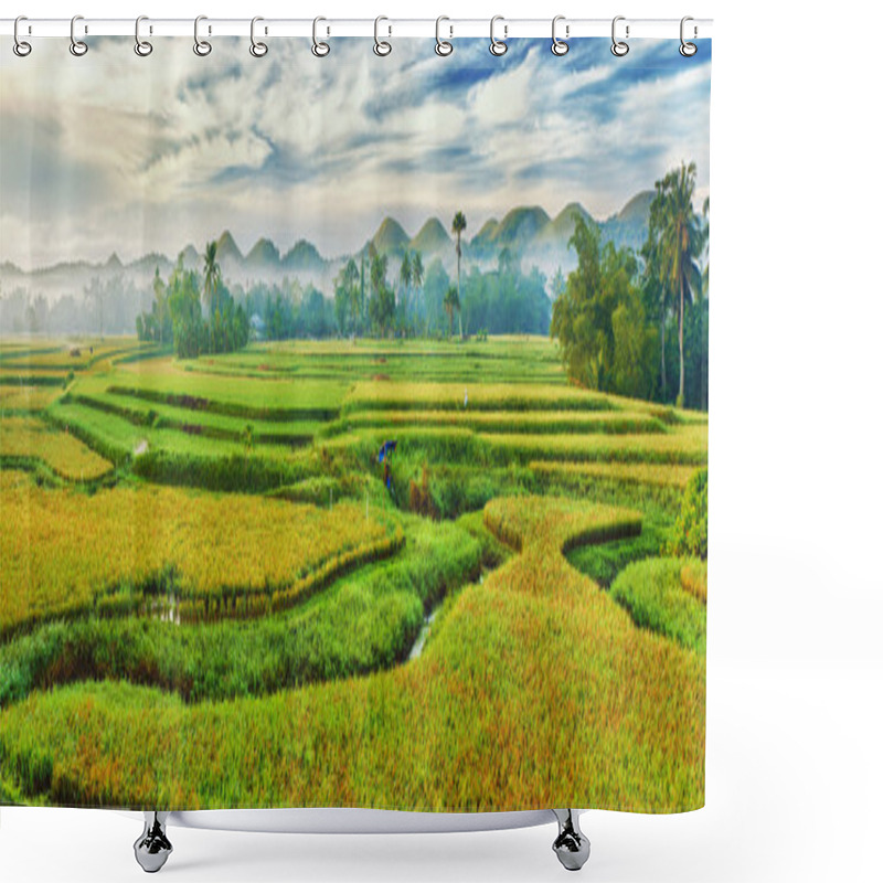 Personality  Paddy Rice Panorama Shower Curtains