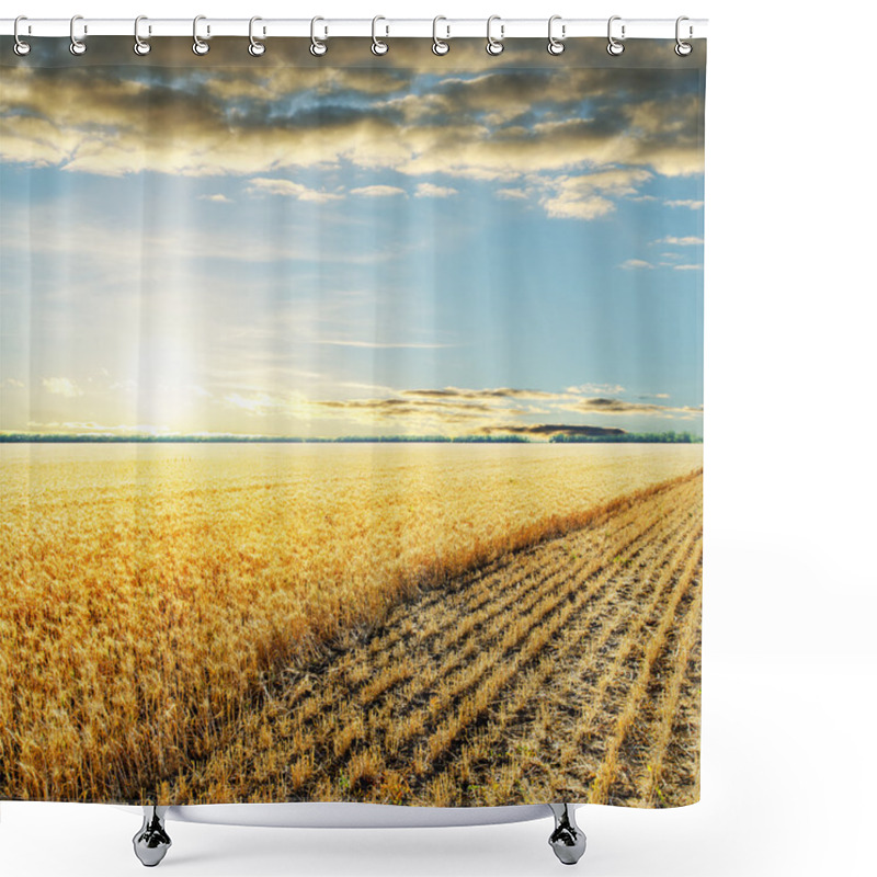 Personality  Sunset Over Wheat Field Shower Curtains