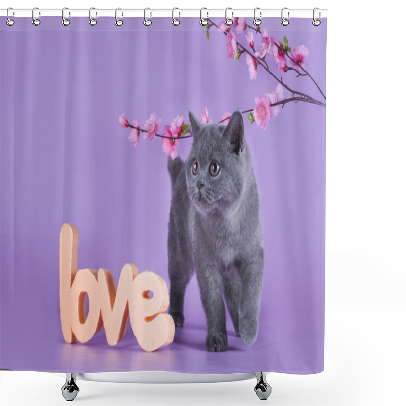 Personality  British Kitten With A Sprig Isolated On A Purple Background Shower Curtains