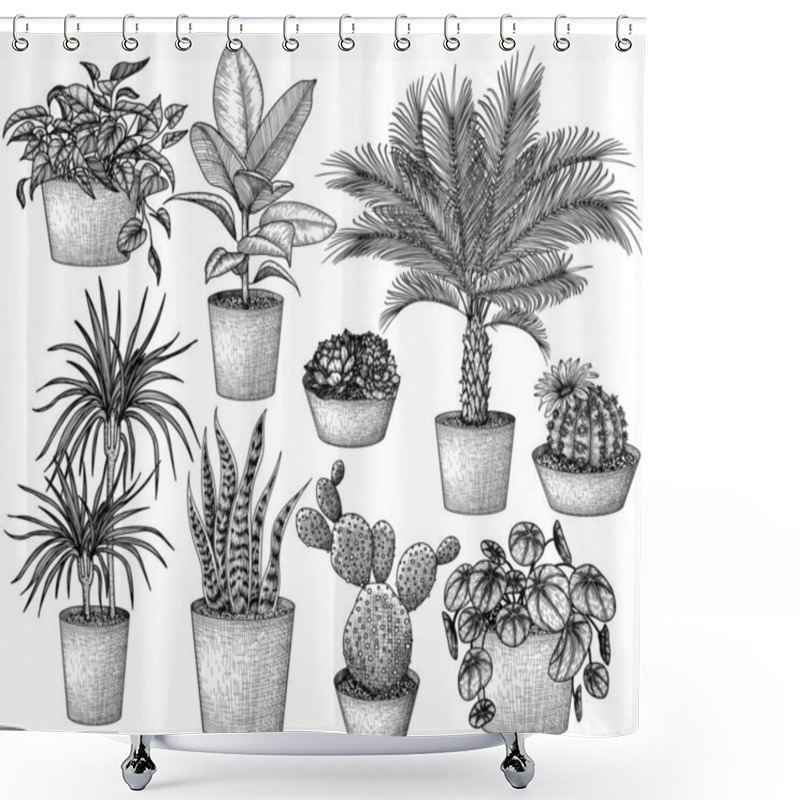 Personality   Vector Set Of 9 Different Houseplants In Engraving Style. Graphic Linear Dracaena, Lobivia Cactus, Sansevieria, Ficus, Scindapsus, Prickly Pear Cactus, Succulents, Pilea, Indoor Palm Shower Curtains