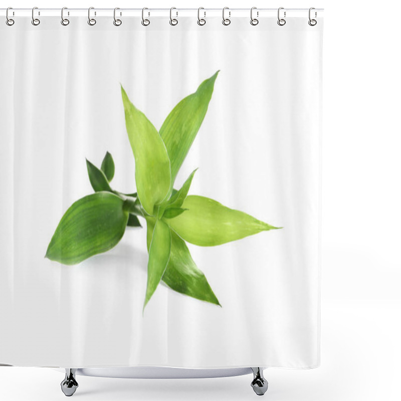 Personality  Beautiful Green Bamboo Leaves On White Background Shower Curtains