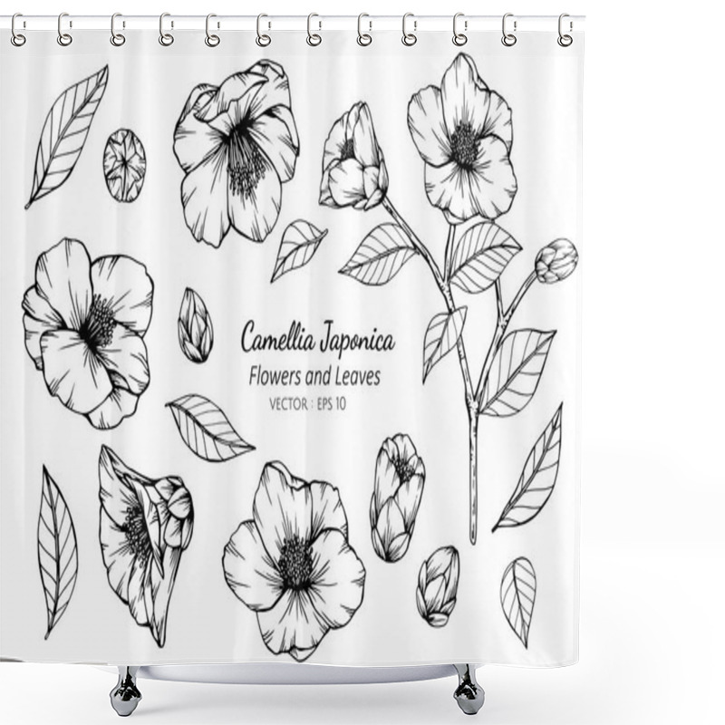 Personality  Collection Set Of Camellia Japonica Flower And Leaves Drawing. Shower Curtains