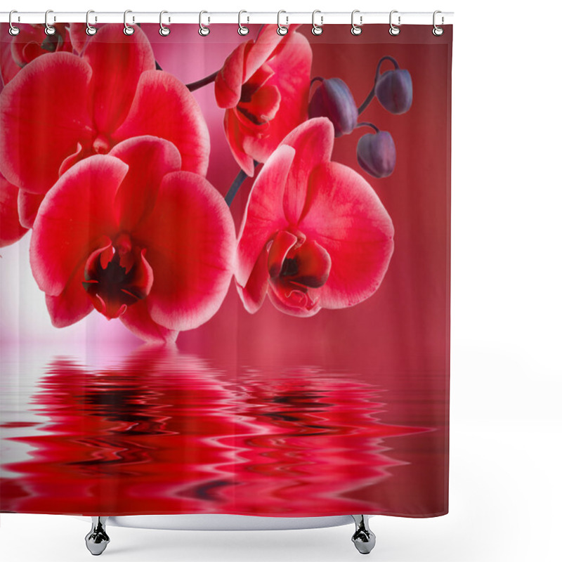 Personality  Background Of Flowers Shower Curtains