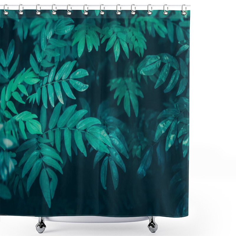 Personality  Green Leaves Pattern; Natural Background  Shower Curtains