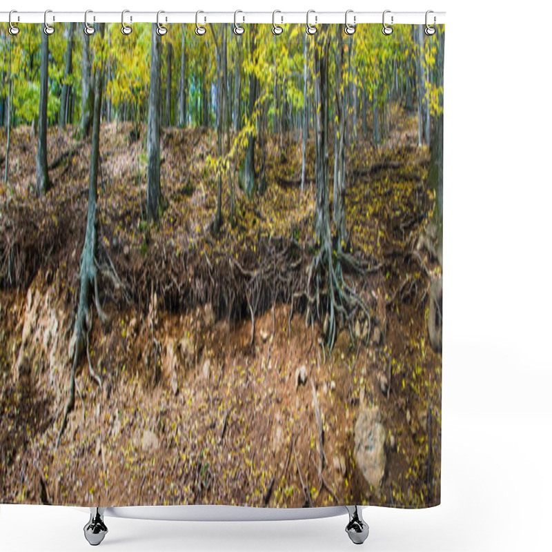 Personality  Autumn Forest On Edge Of Ravine Shower Curtains