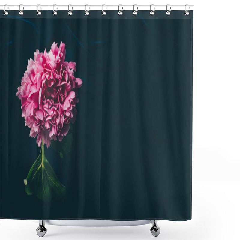 Personality  Top View Of Pink Peony On Dark Cloth With Copy Space Shower Curtains