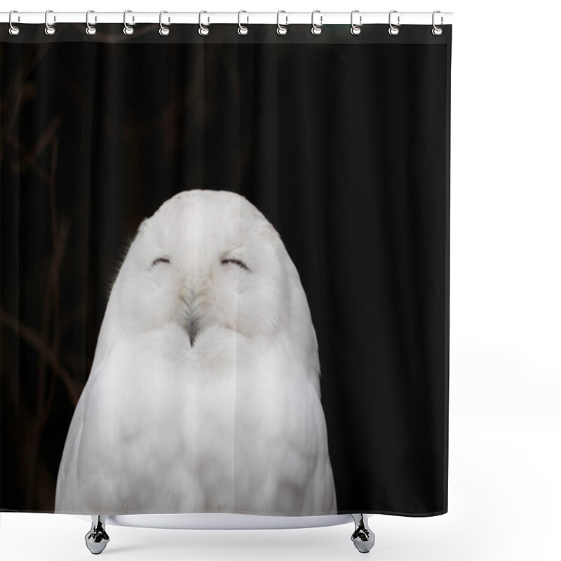 Personality  White  Snowy Owl Head Close Up Shower Curtains