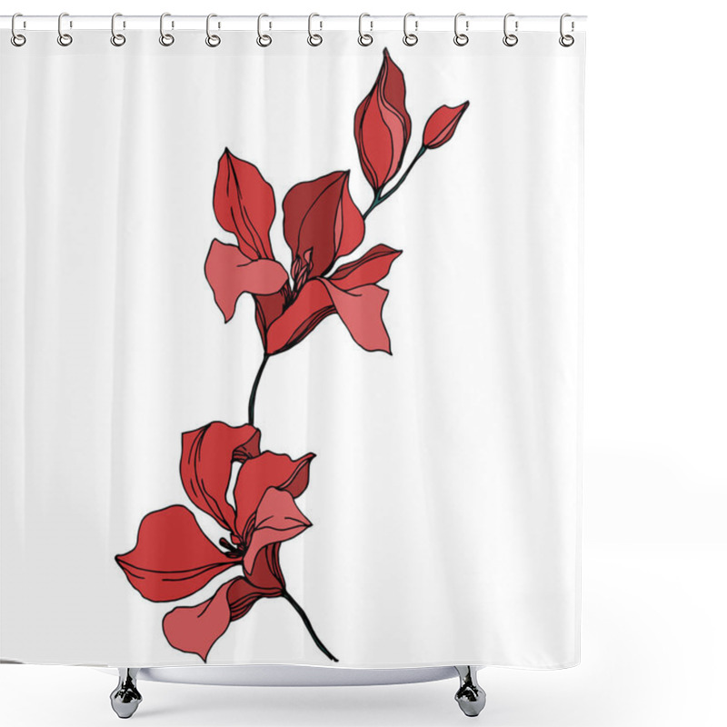 Personality  Vector Orchid Floral Botanical Flowers. Black And White Engraved Ink Art. Isolated Orchids Illustration Element. Shower Curtains