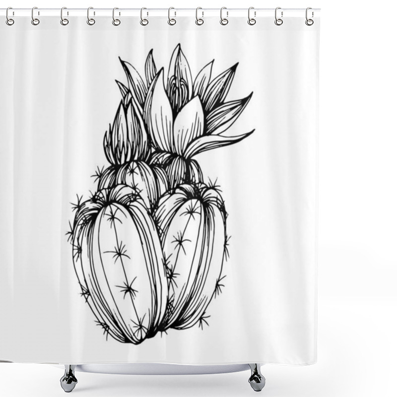 Personality  Cactus Sketch For Logo. Floral Succulent Plants Tattoo Highly Detailed In Line Art Style. Black And White Clip Art Isolated On White Background. Antique Vintage Engraving Illustration. Shower Curtains