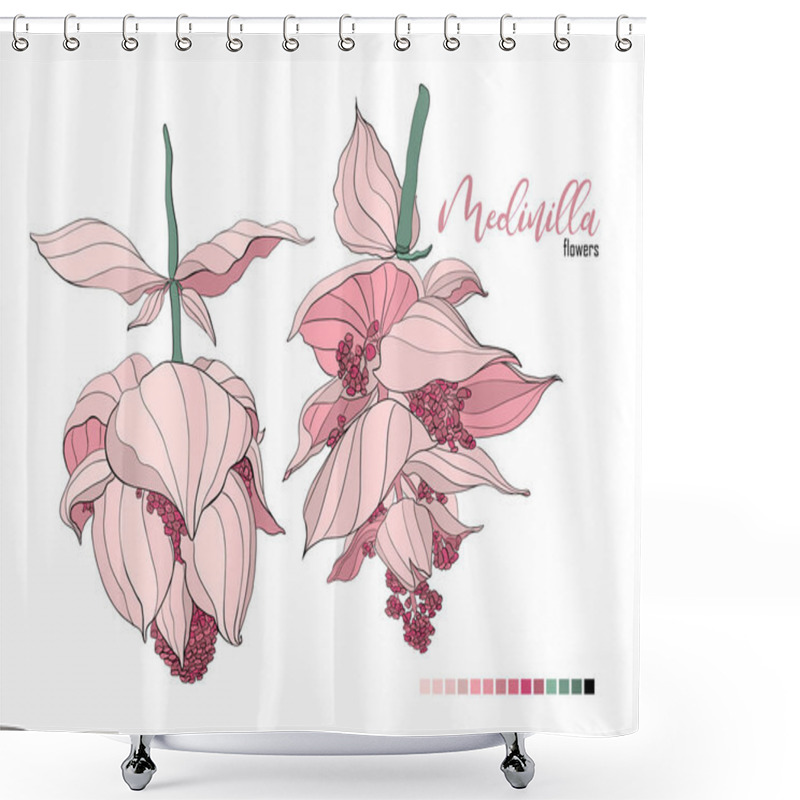 Personality  Vector Floral Bouquet Design: Garden Pink Peach Lavender Creamy Powder Pale Medinilla Flower. Wedding Vector Invite Card. Vector Design Element Set Shower Curtains