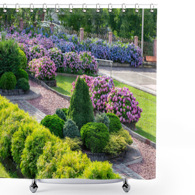 Personality  Hydrangea Flower (Hydrangea Macrophylla) In A Garden. Landscaping Using Hydrangea Macrophylla Bushes. Flowering Bush Of Blue And Red Colored Hydrangea Close-up. The Concept Of Landscaping. Shower Curtains