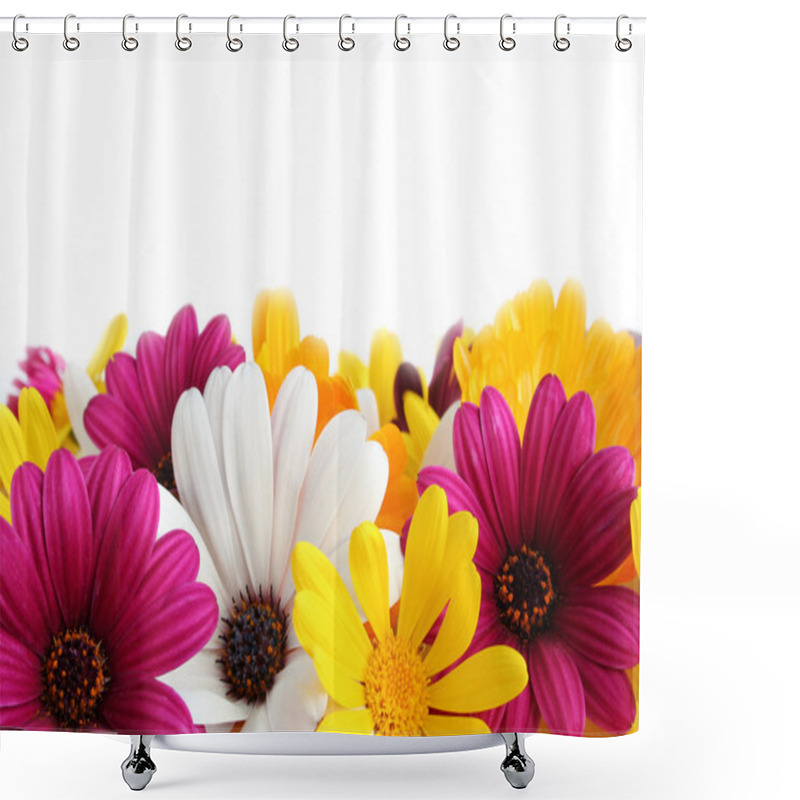 Personality  Spring Daisy Border Shower Curtains