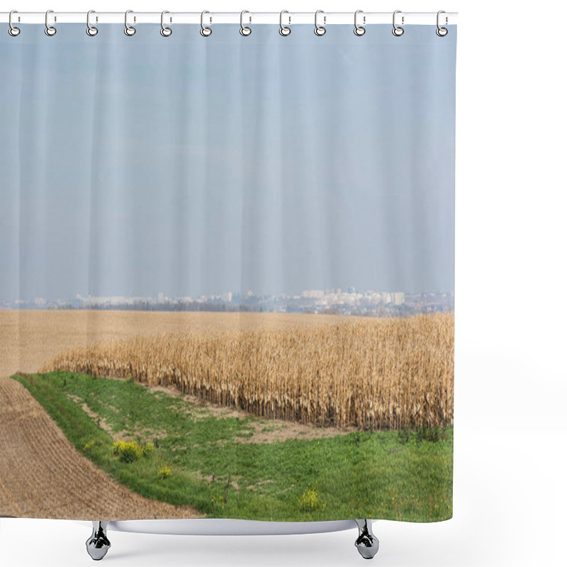 Personality  Golden Rye Field Near Green Grass Against Blue Sky  Shower Curtains