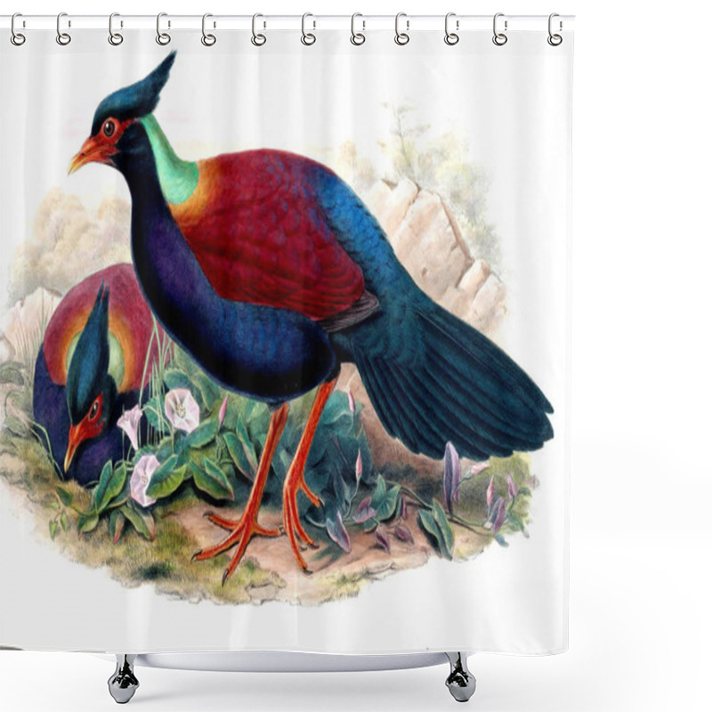 Personality  Illustration Of Animals Old Image Shower Curtains