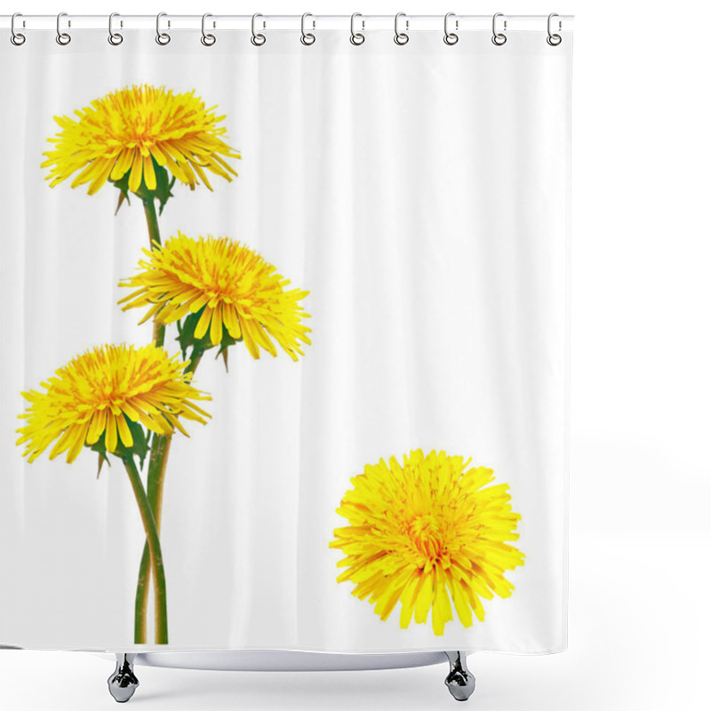 Personality  Fluffy Dandelion Flower Isolated On White Background. Shower Curtains